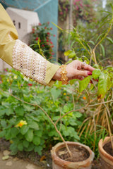 Solène - Radiant Lime Green Embroidered 3PC Suit