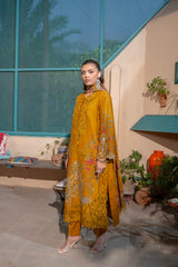Mustard Gold Set - Golden Ochre
